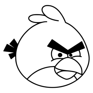 Angry  Birds