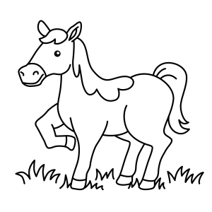 Cavalos