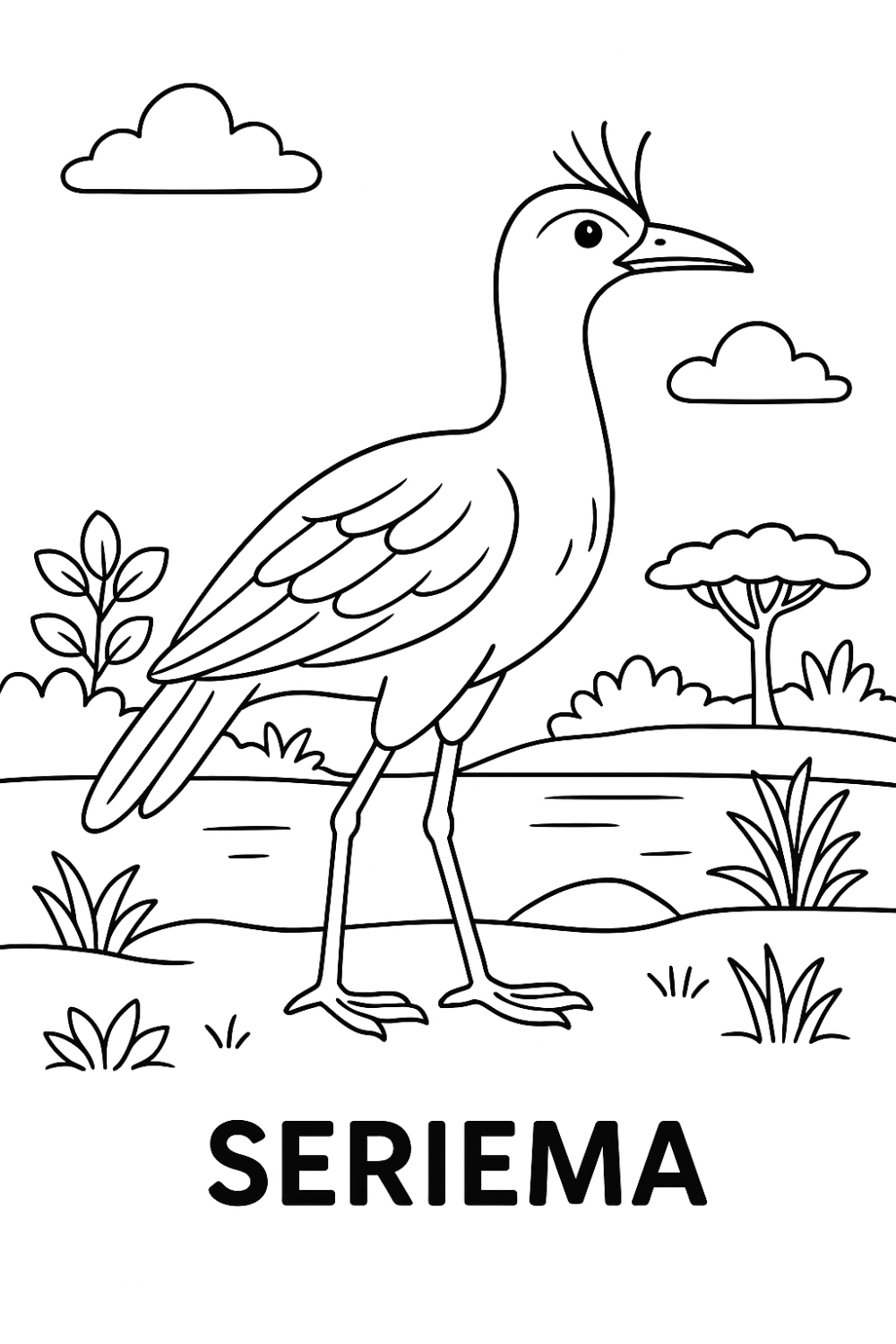 A Elegante Seriema em Seu Habitat