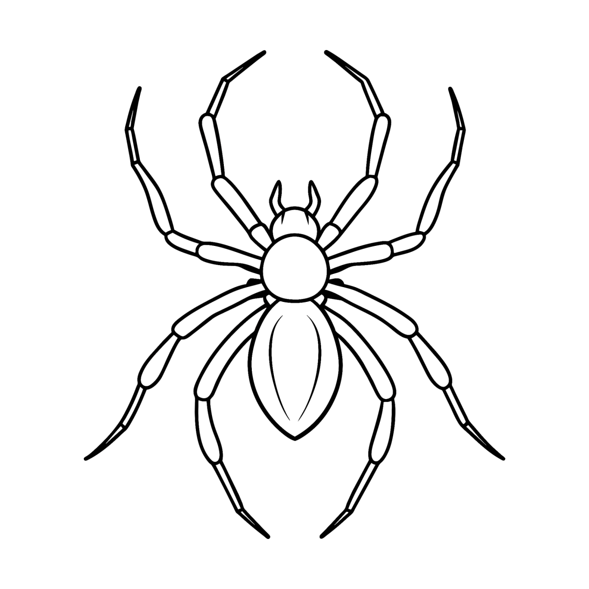 Aranha grande de patas longas para colorir