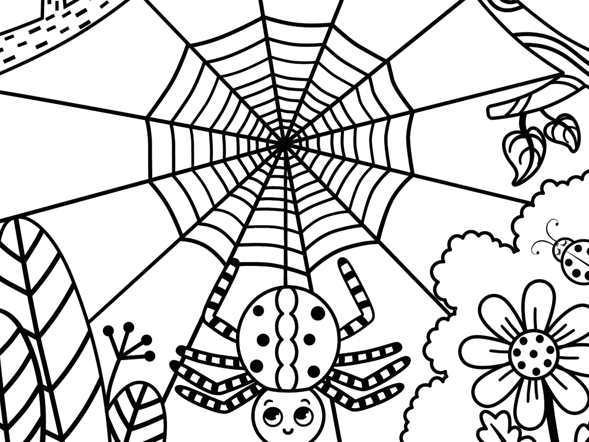 Aranha na teia entre as flores para colorir