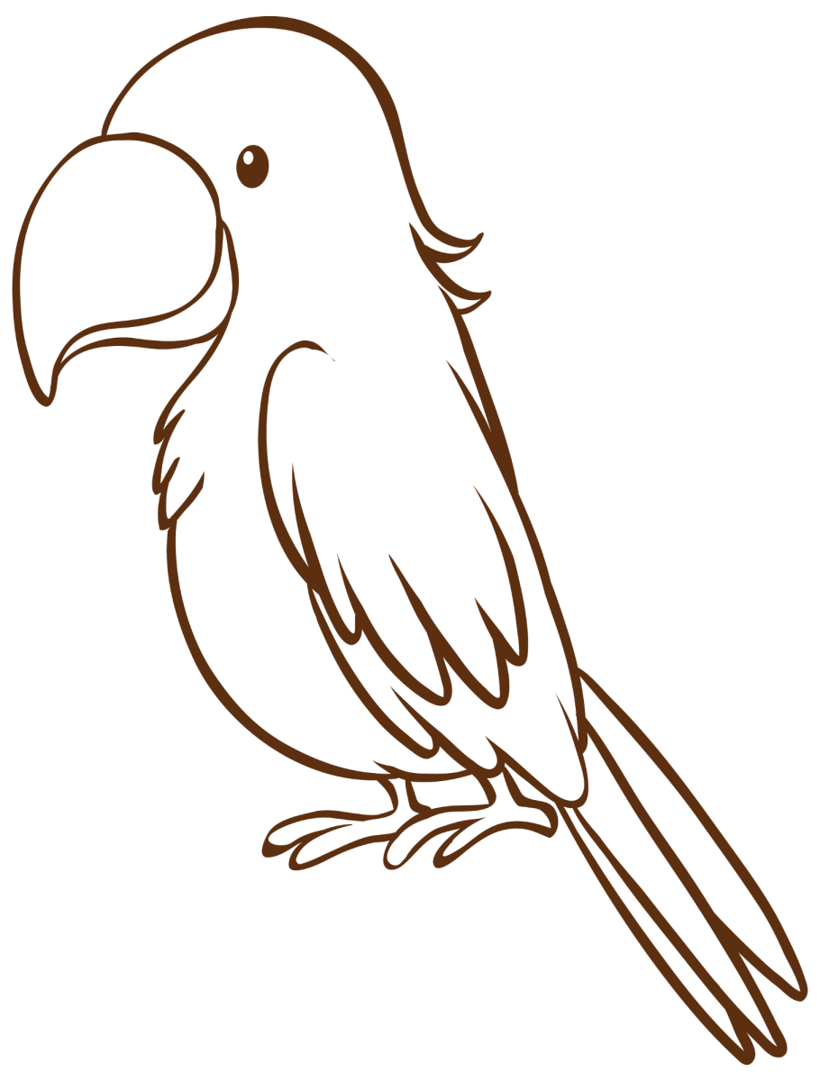 Arara de cauda longa para colorir