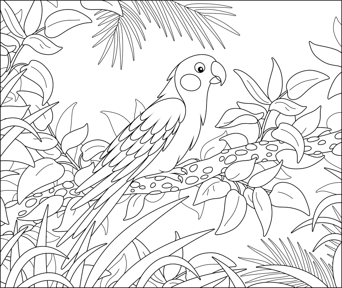 Arara escondida na floresta para colorir