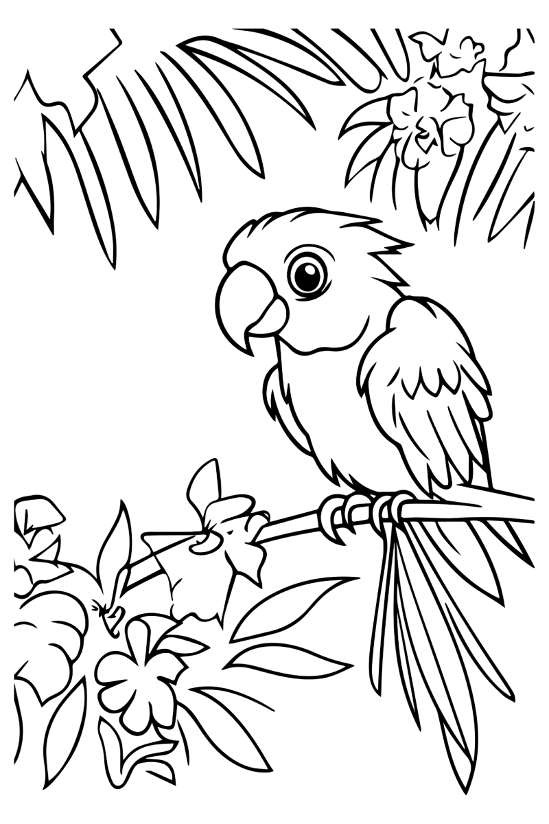Arara na selva tropical para colorir