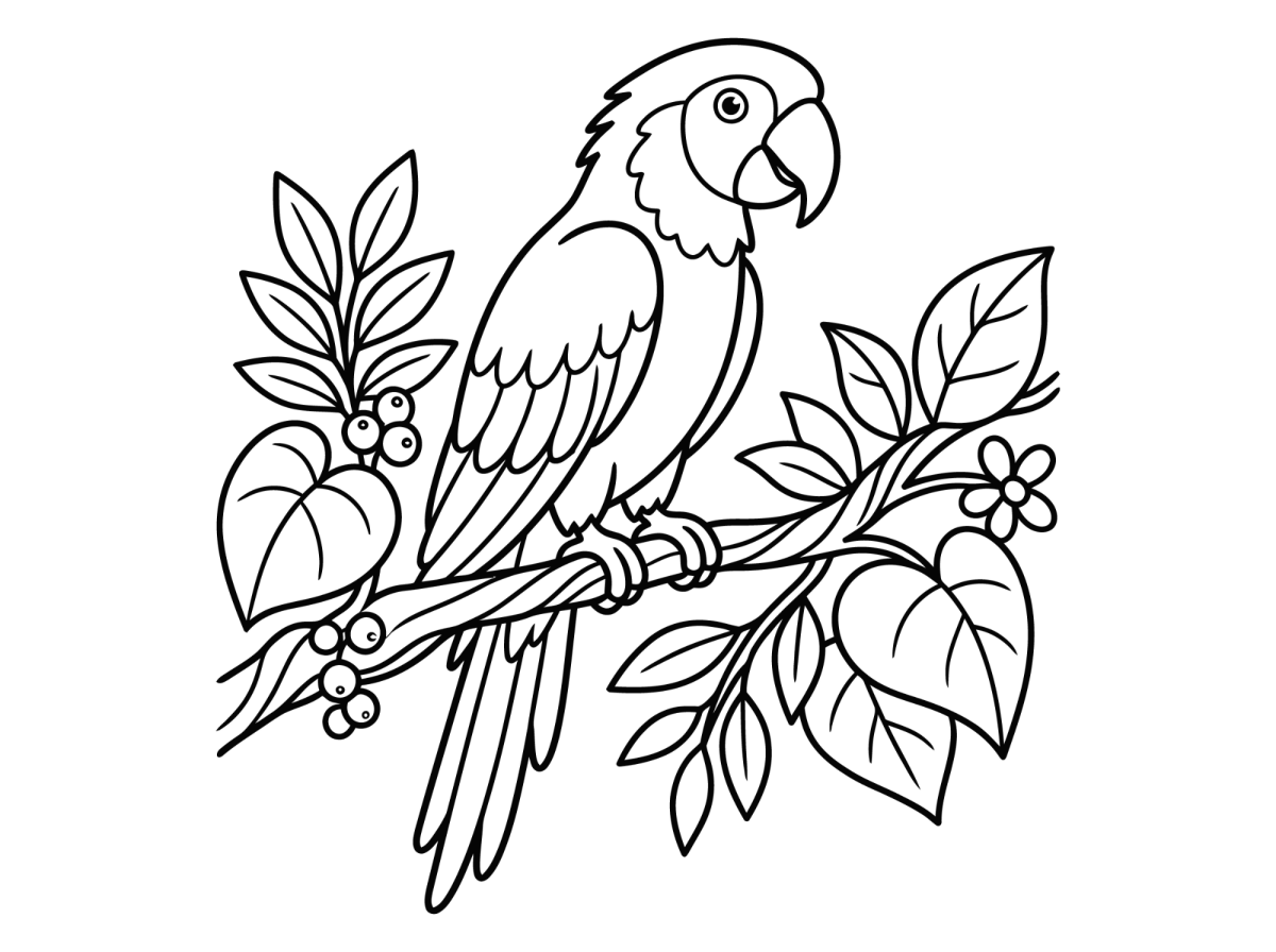 Arara no galho com frutinhas para colorir