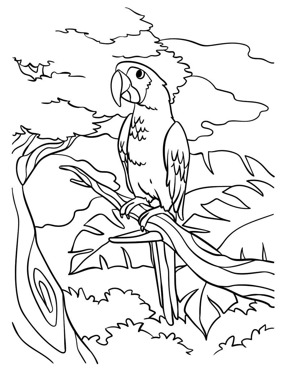 Arara pousada no galho da árvore para colorir