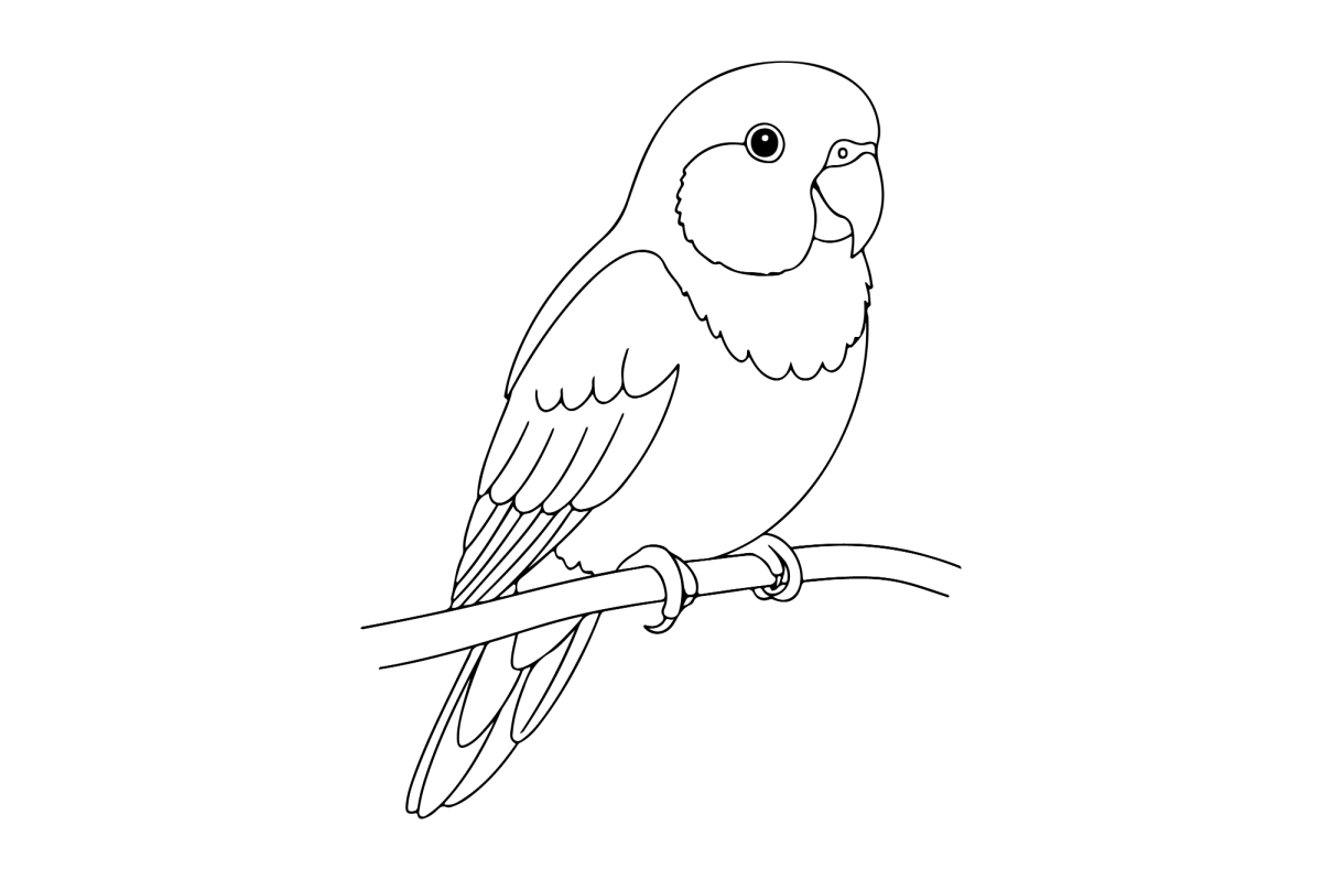 Arara pousada no galho fino para colorir