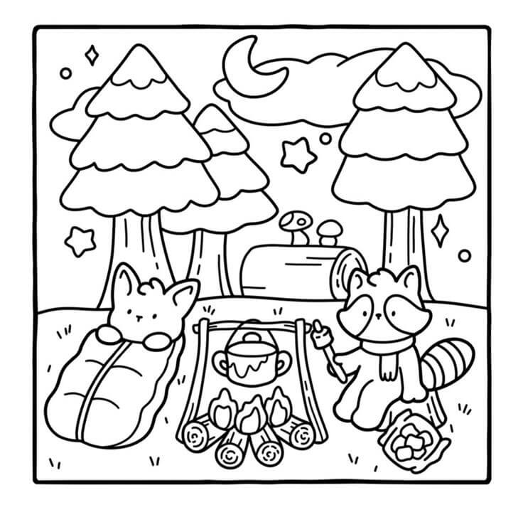 Aventura Acampamento na Floresta