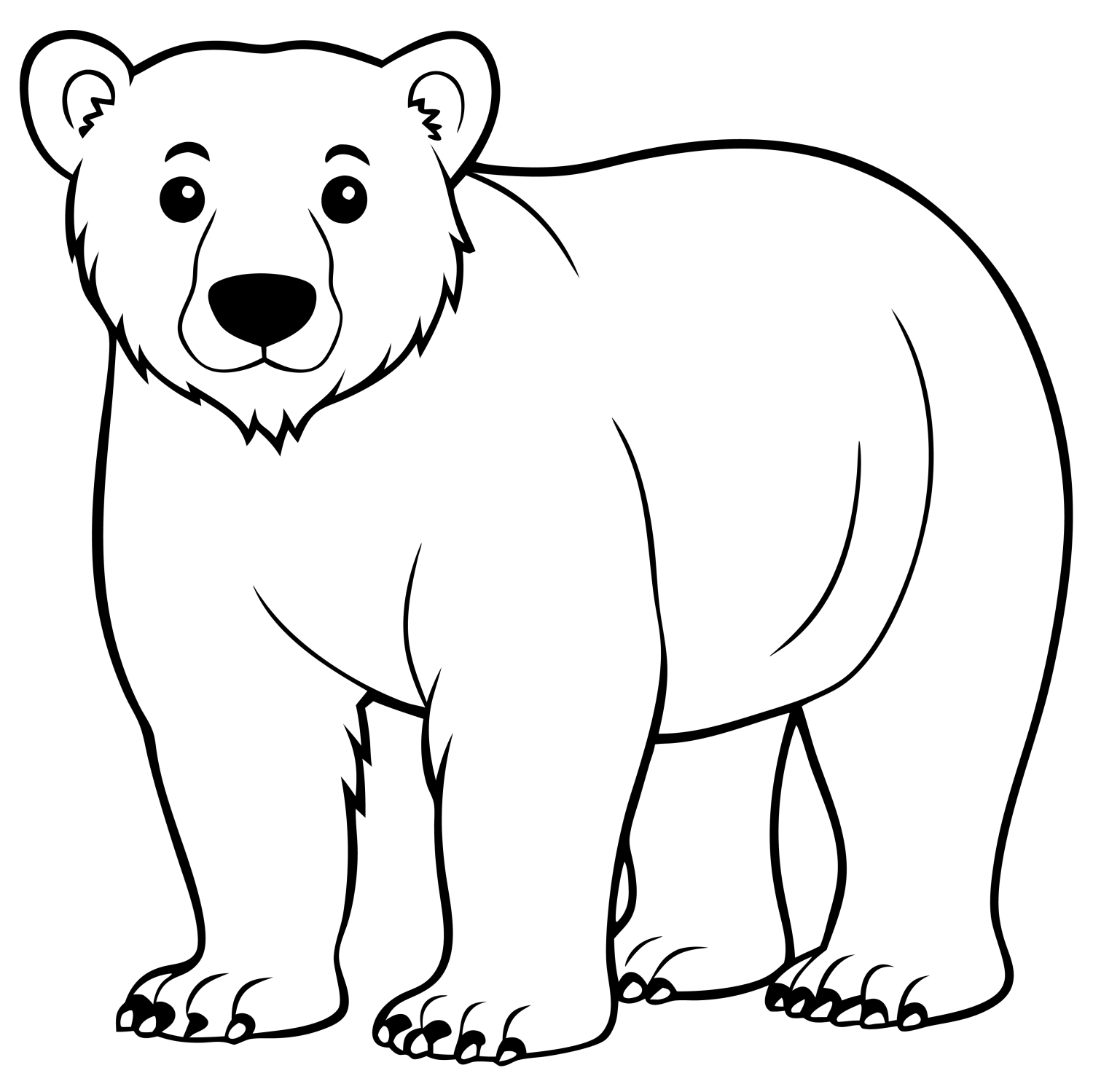 Aventura Ártica: O Urso Polar Colorir