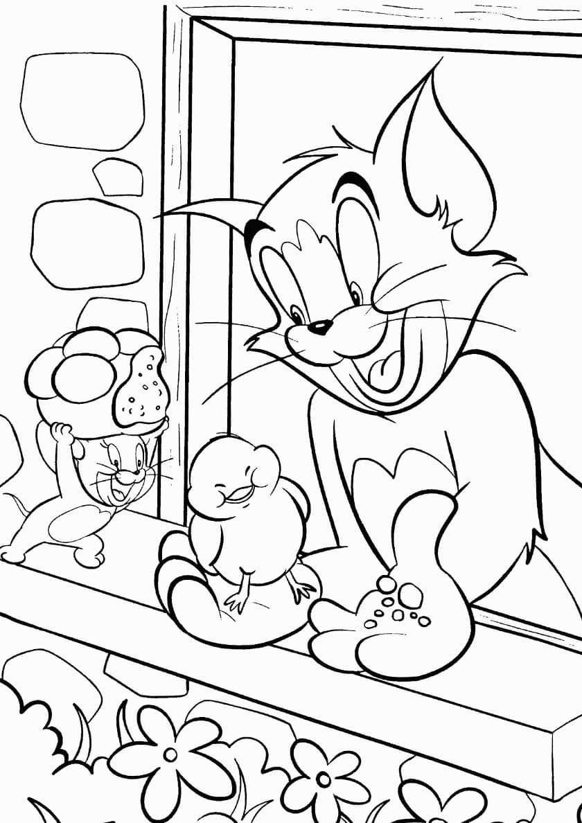 Aventura Colorida com Tom e Jerry