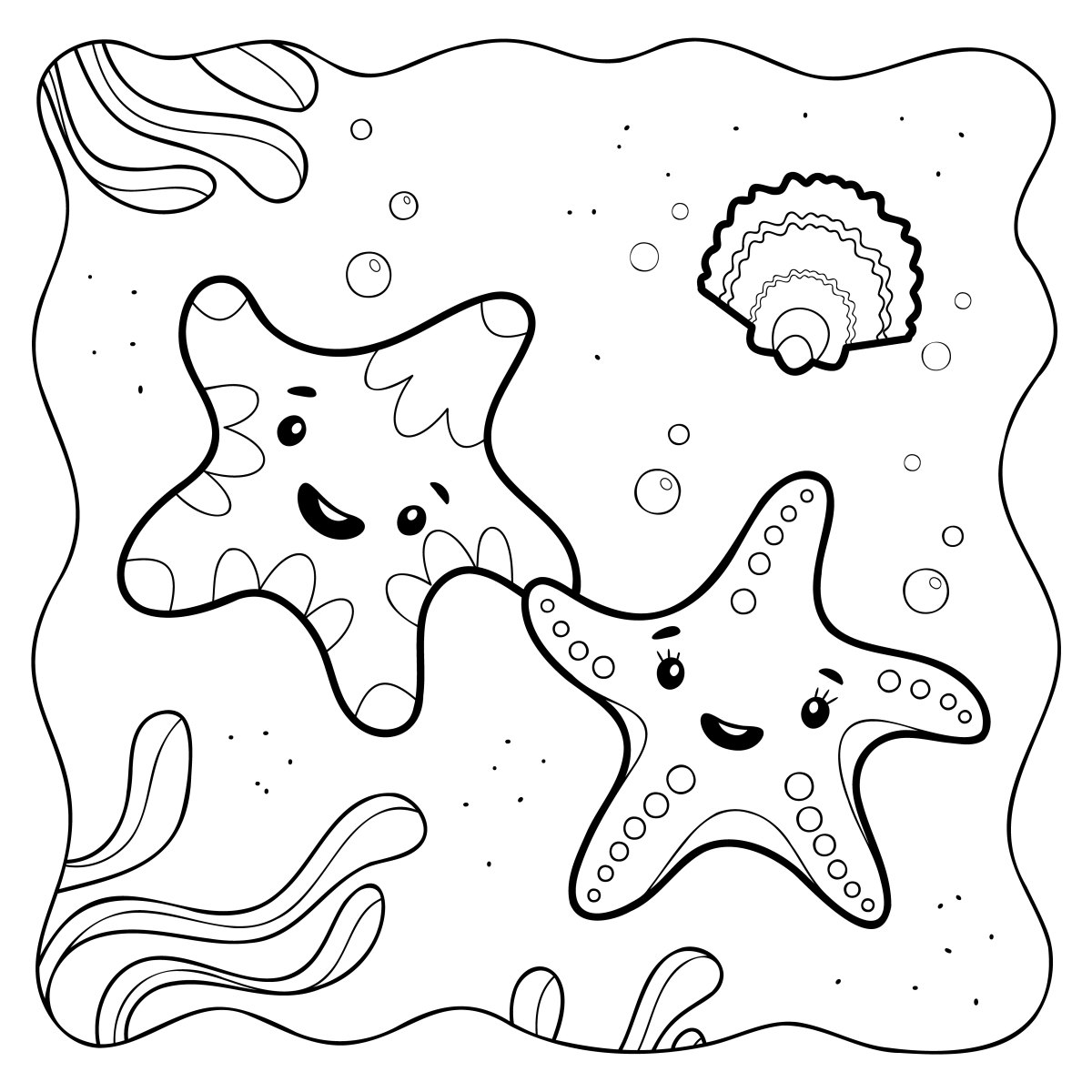 Aventura Colorida: Par de Estrelas do Mar