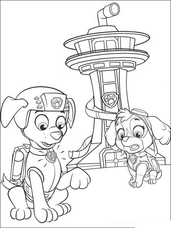 Aventura com Patrulha Canina