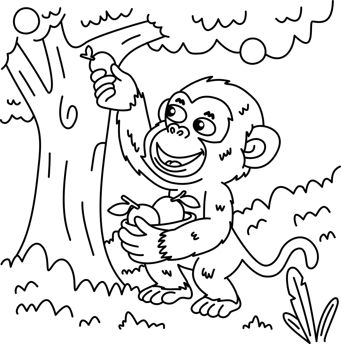 Aventura do Macaco Colhedor