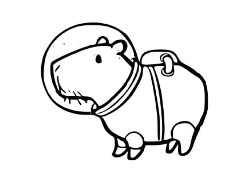 Aventura Espacial com Capivara Fofa
