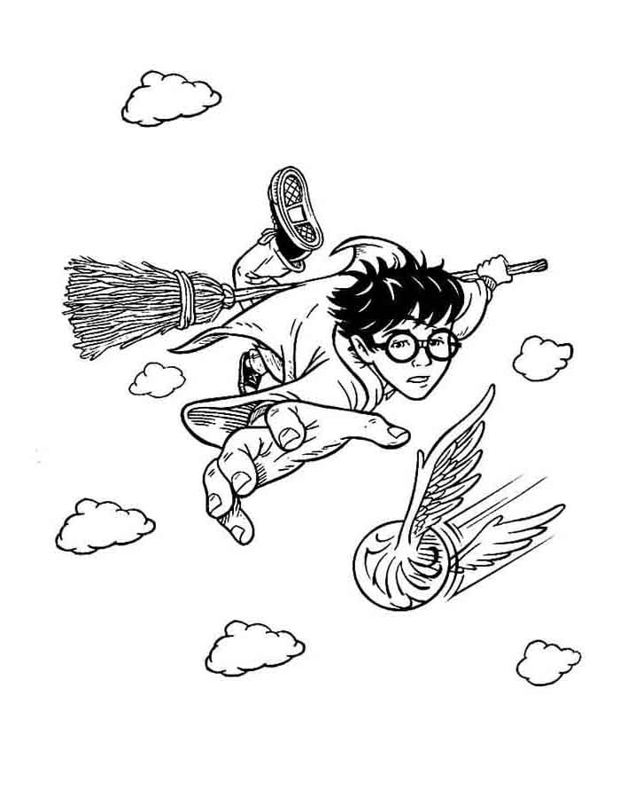 Aventure-se com Harry no Jogo de Quadribol