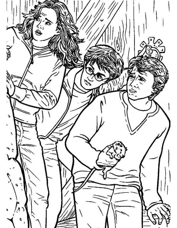 Aventura no Beiral de Hogwarts