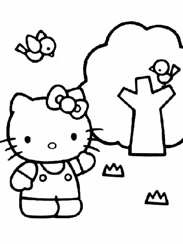 Aventura no Parque com Hello Kitty
