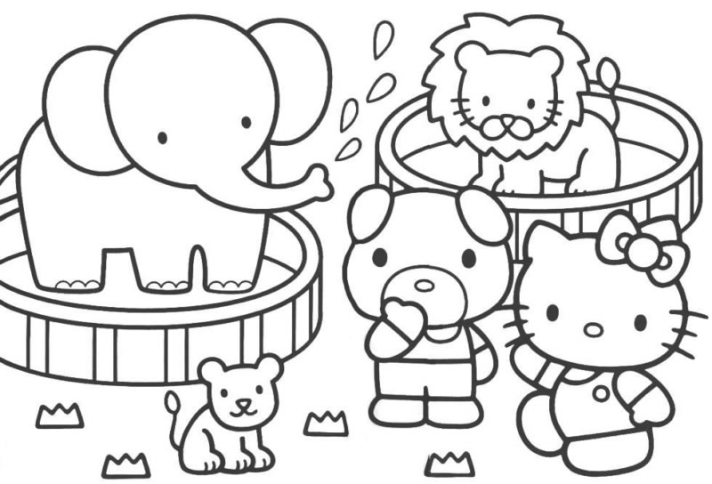 Aventura Safari com Hello Kitty e Amigos