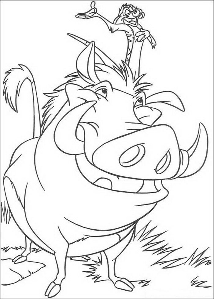 Aventura com Timão e Pumba