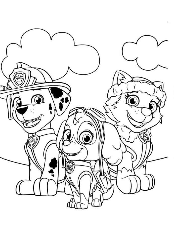 Aventuras Caninas com a Patrulha Pata