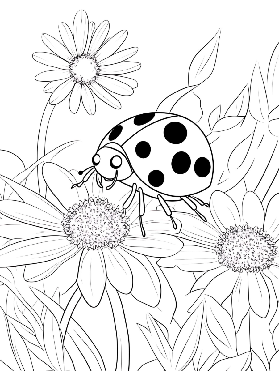 Aventuras Coloridas da Joaninha no Jardim
