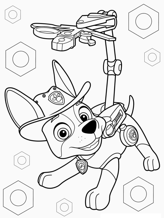 Aventuras com o Patrulheiro Canino