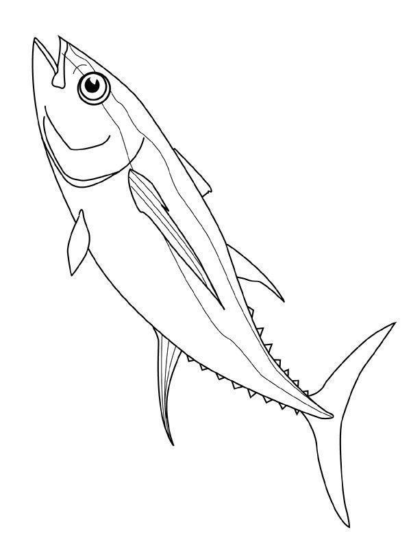 Aventuras do Atum no Mar