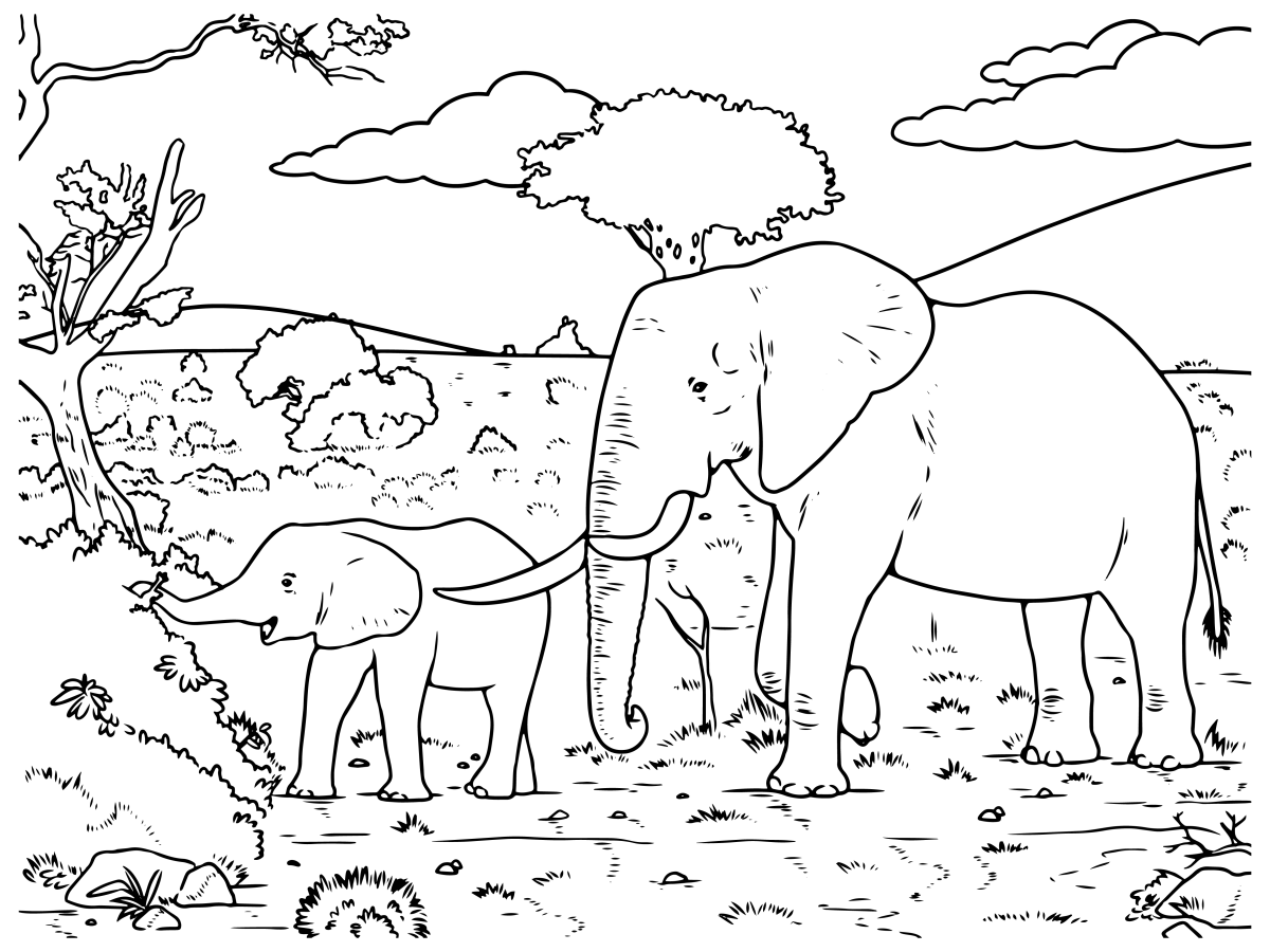 Aventuras de Elefantes na Savana