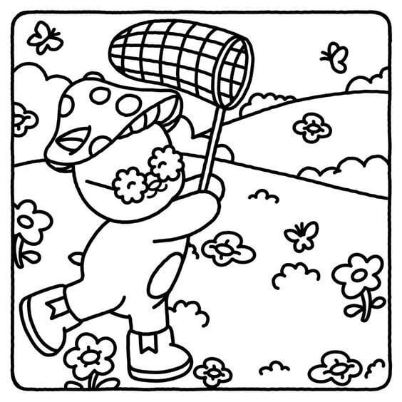 Aventuras Floridas no Campo