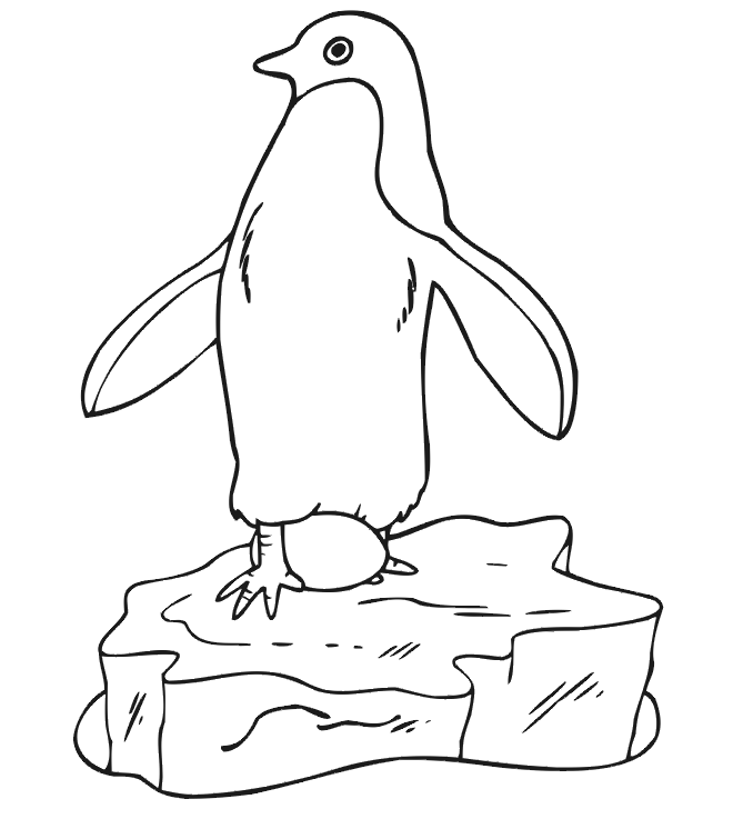Aventuras Geladas de um Pinguim