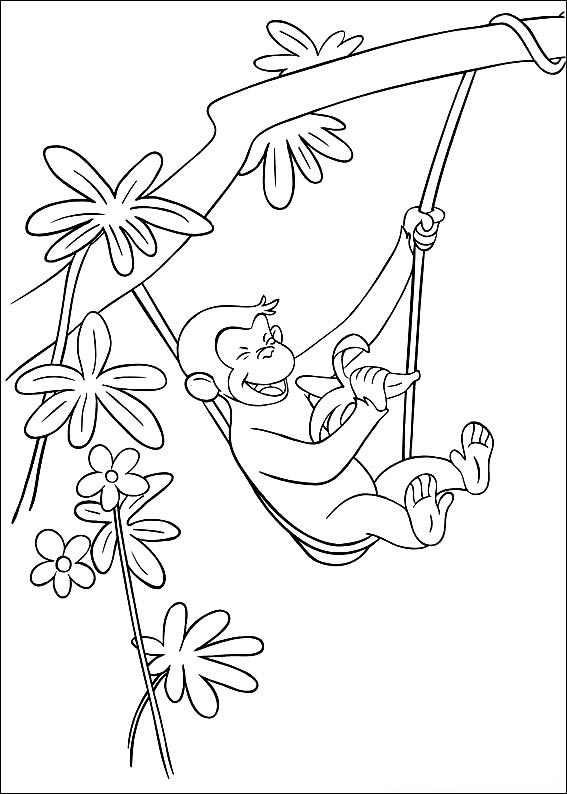 Aventuras de George: Dia na Selva