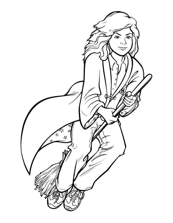 Aventuras de Hermione no Voo