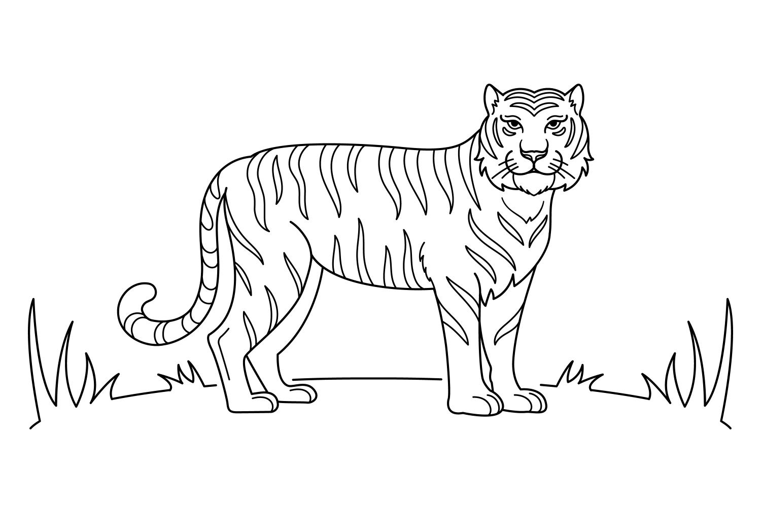 Aventure-se com o Tigre Majestoso