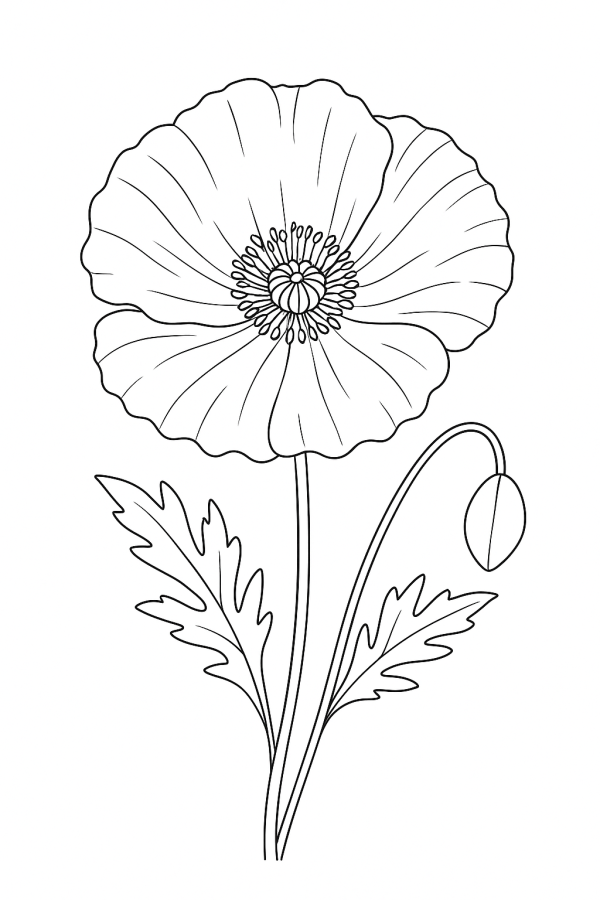 Beleza do Campo: Flor em Destaque