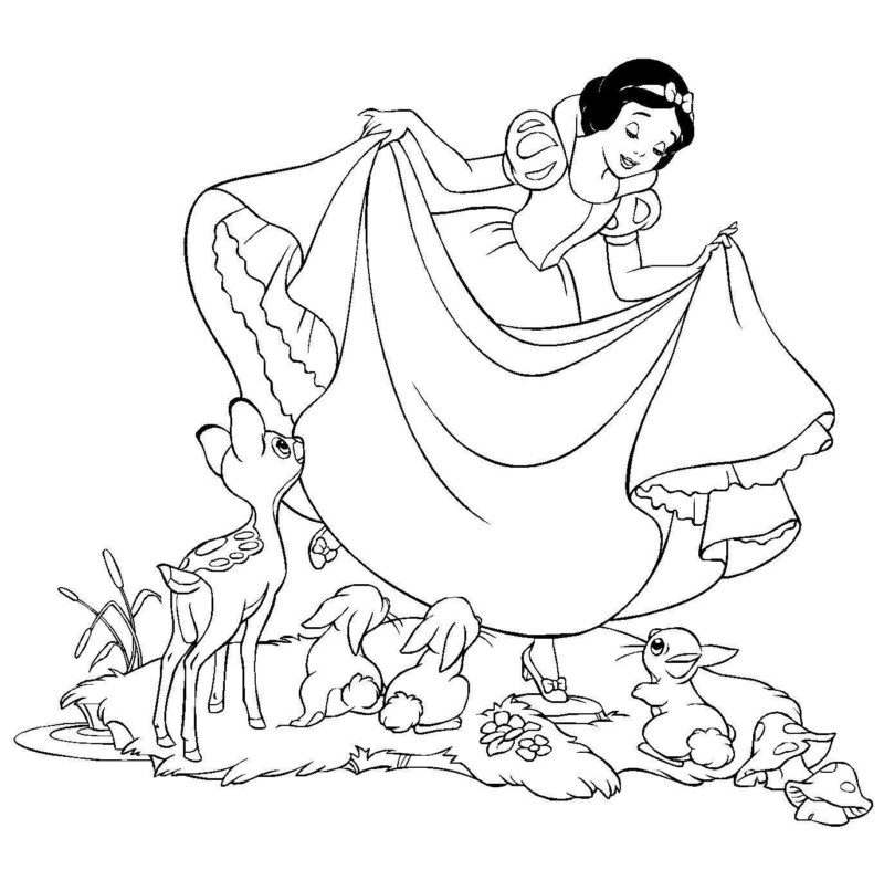 Branca de Neve Encanta a Floresta