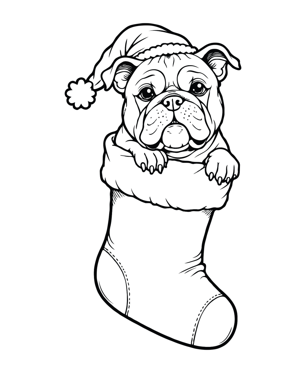 Cachorrinho de gorro dentro da meia de Natal para colorir