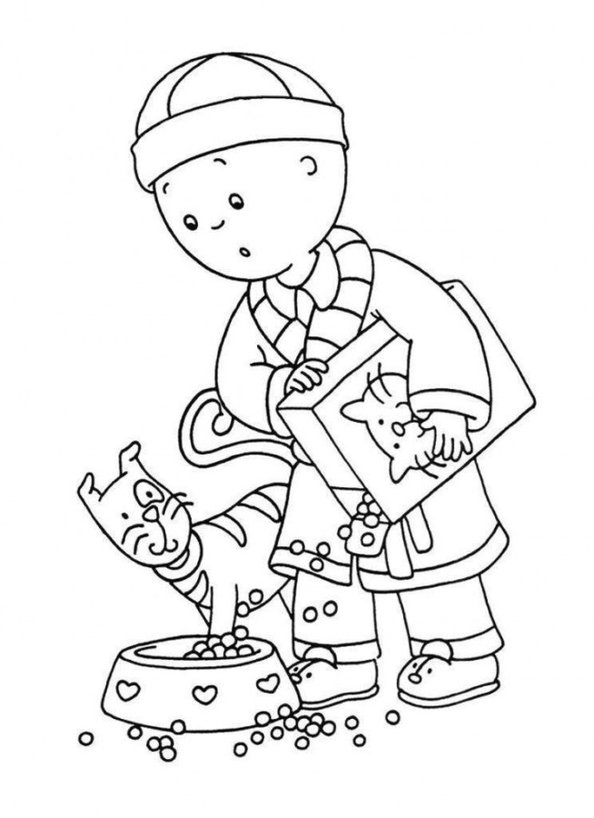 Caillou e seu Gato Divertido