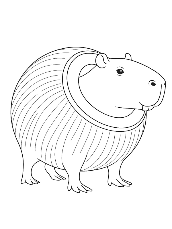 Capivara enrolada como um coco para colorir