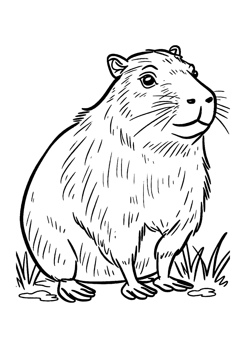 A Capivara Charmosa