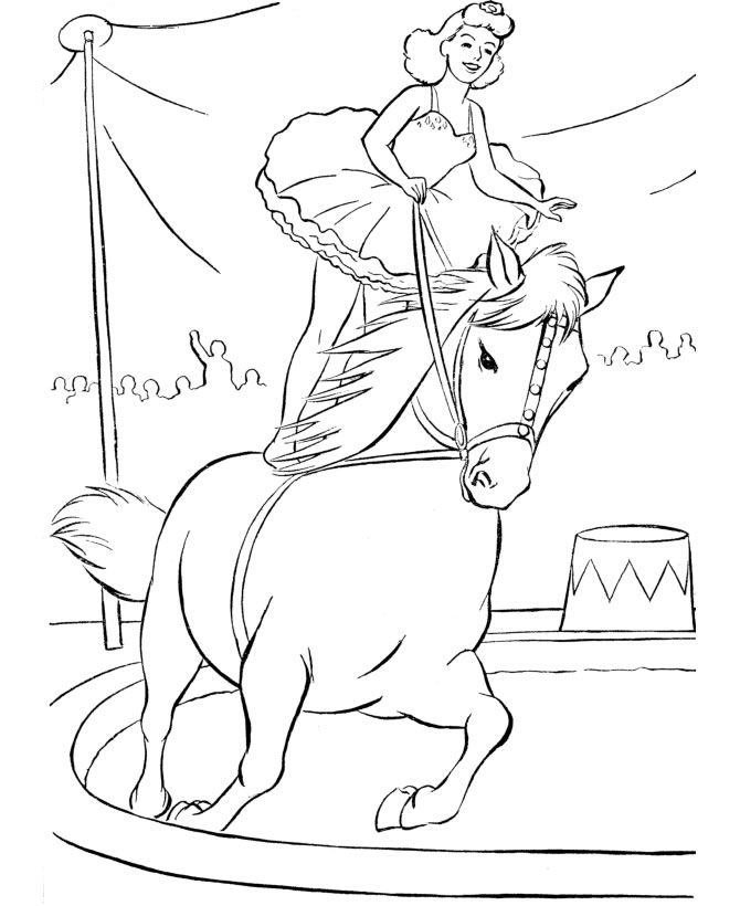 Circus Performer on Horseback Adventure
