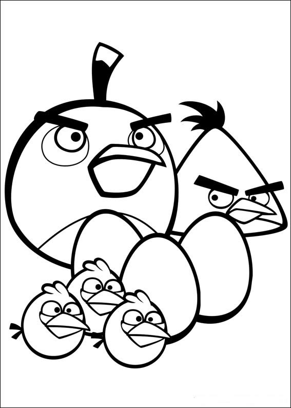 Colorindo a Aventura dos Angry Birds