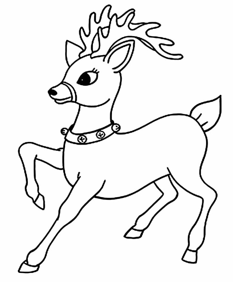 Colorindo o Charmoso Rudolph