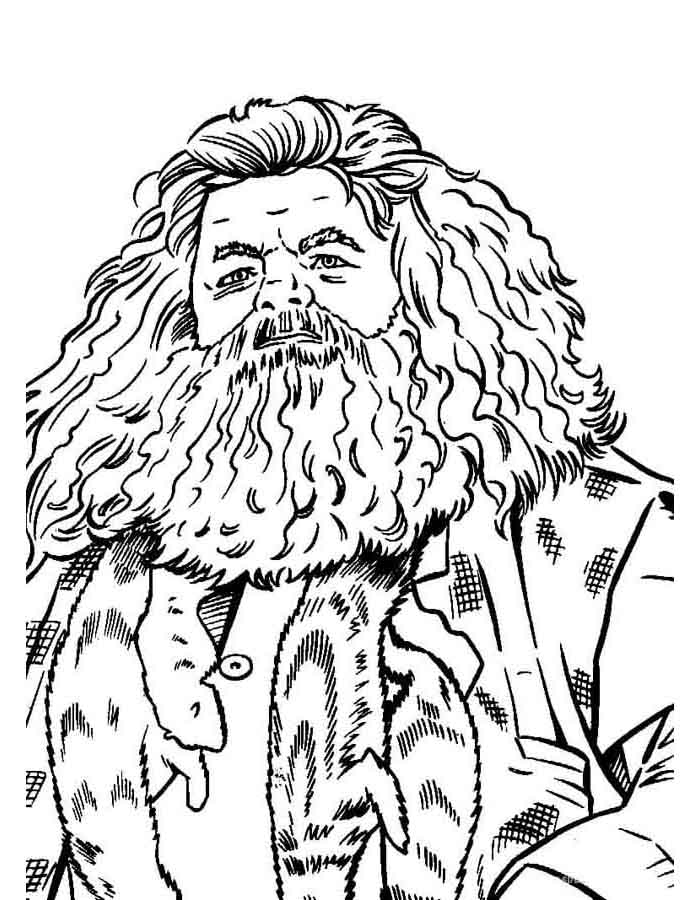 Colorindo Hagrid e Seus Mistérios Mágicos