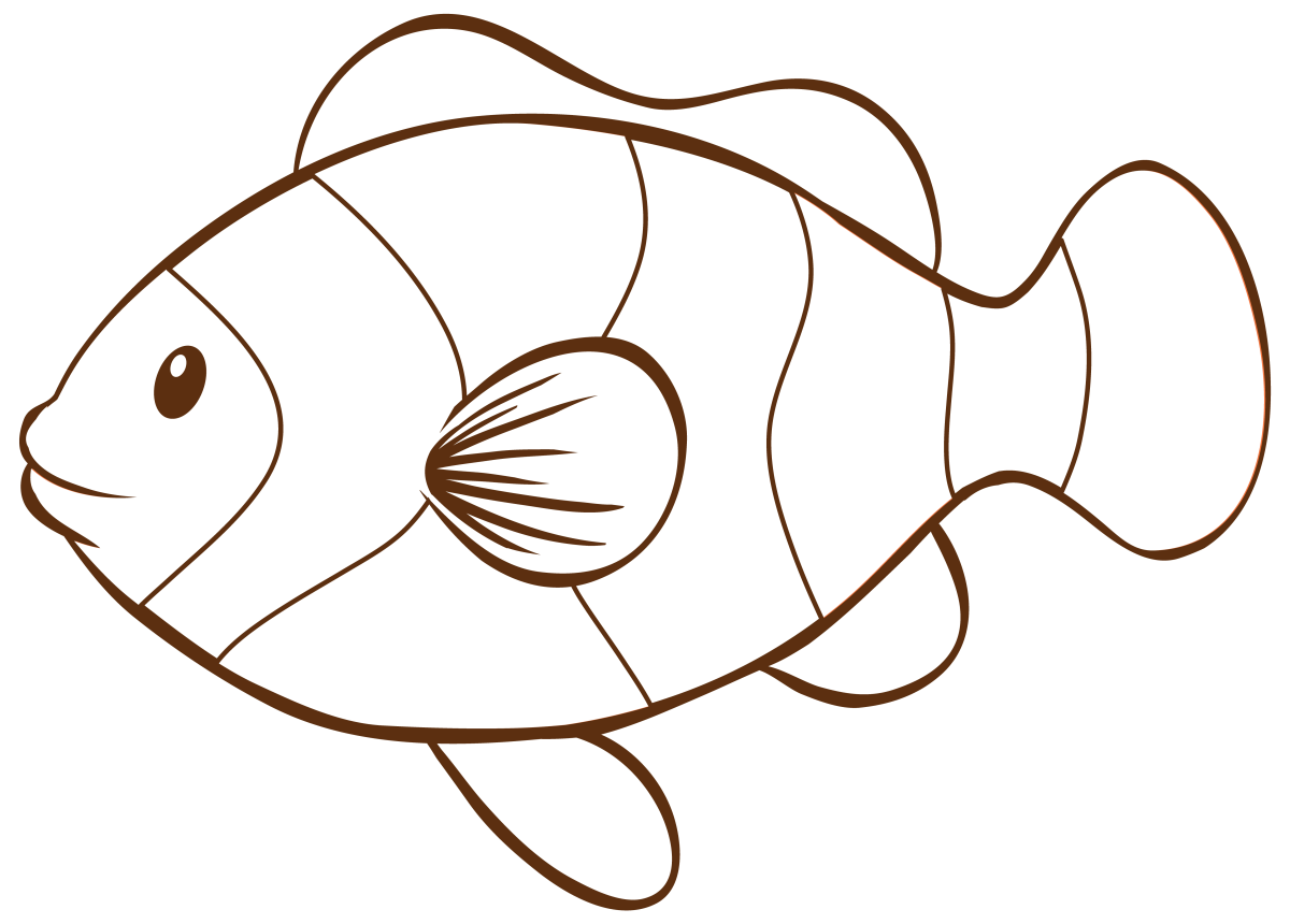 Colorindo o Peixinho Encantador