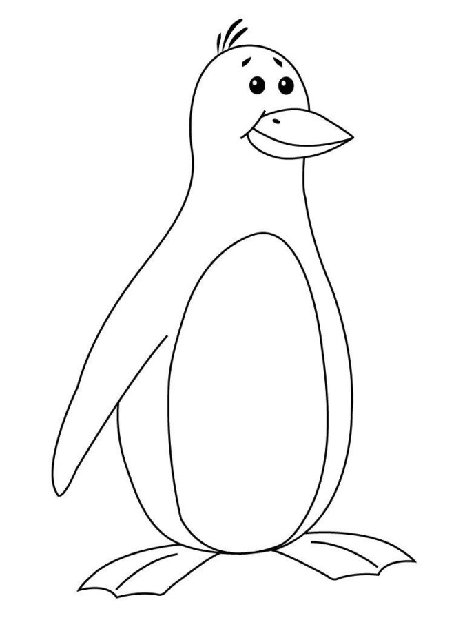 Colorindo o Encantador Pinguim Animado