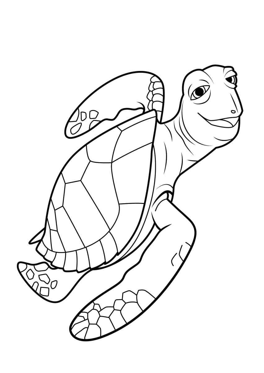 Crush, a tartaruga marinha para colorir