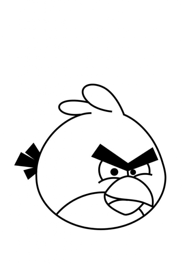 Divertida Aventura com o Pássaro Vermelho do Angry Birds