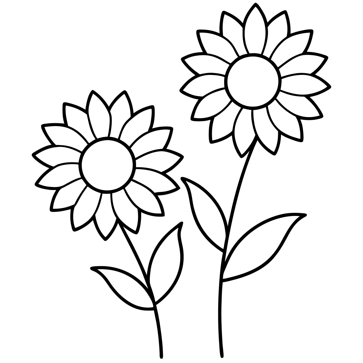 Dois girassóis lado a lado para colorir