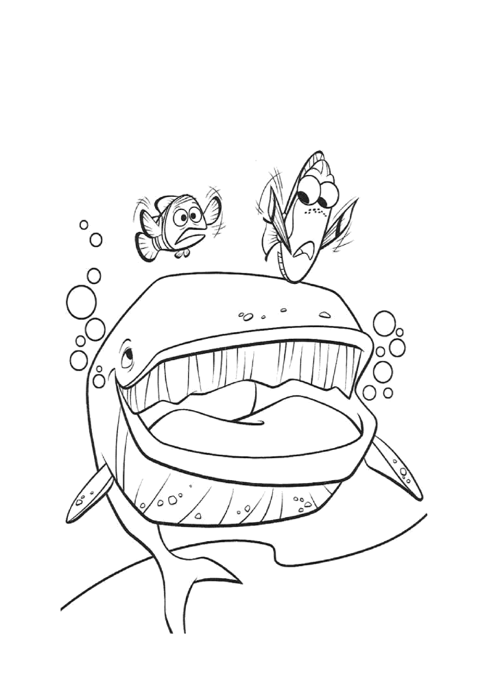 Dory espiando de dentro do balde para colorir