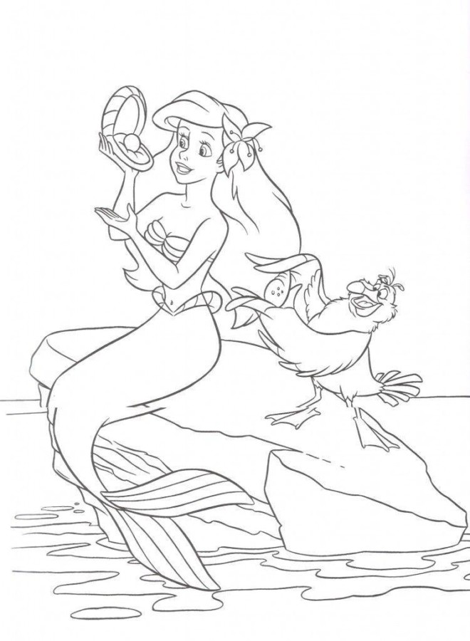 Encantadora Aventura com Ariel e Sabidão